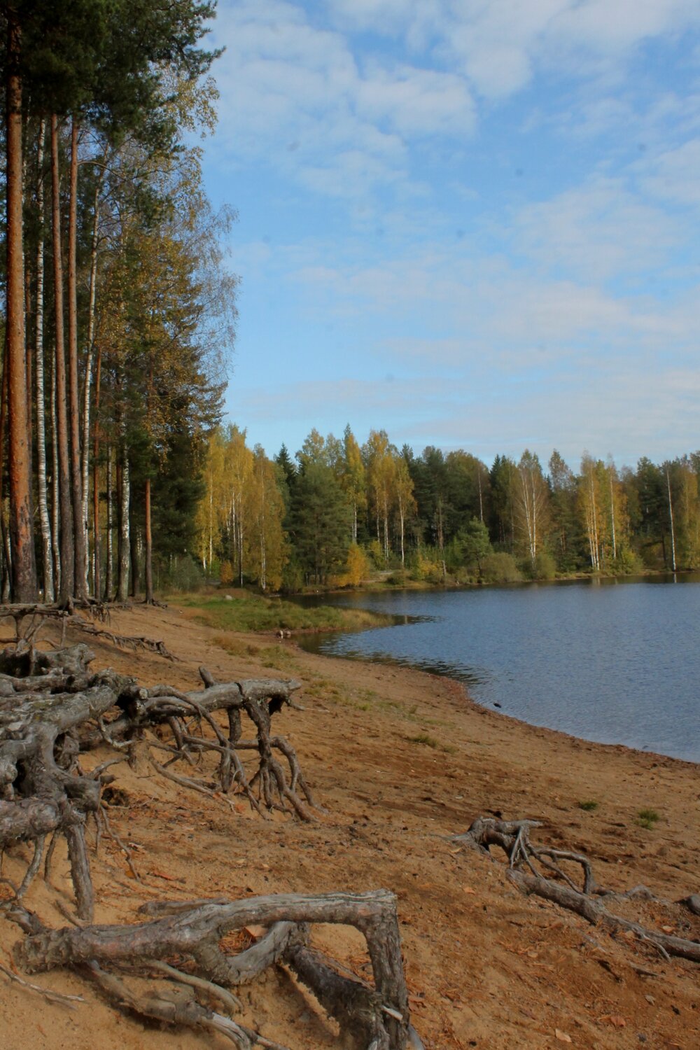 Photo #13827351