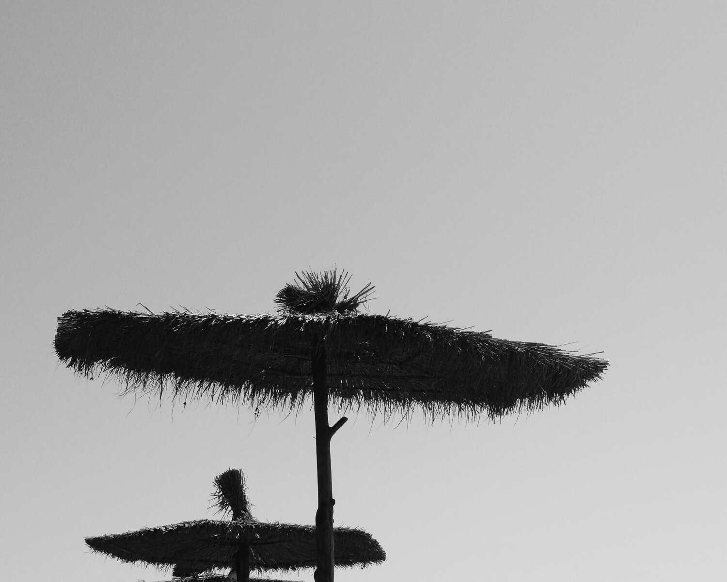 Photo #13827396