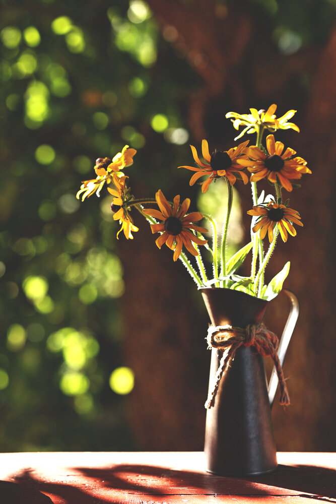 Photograph by Елена Одынец