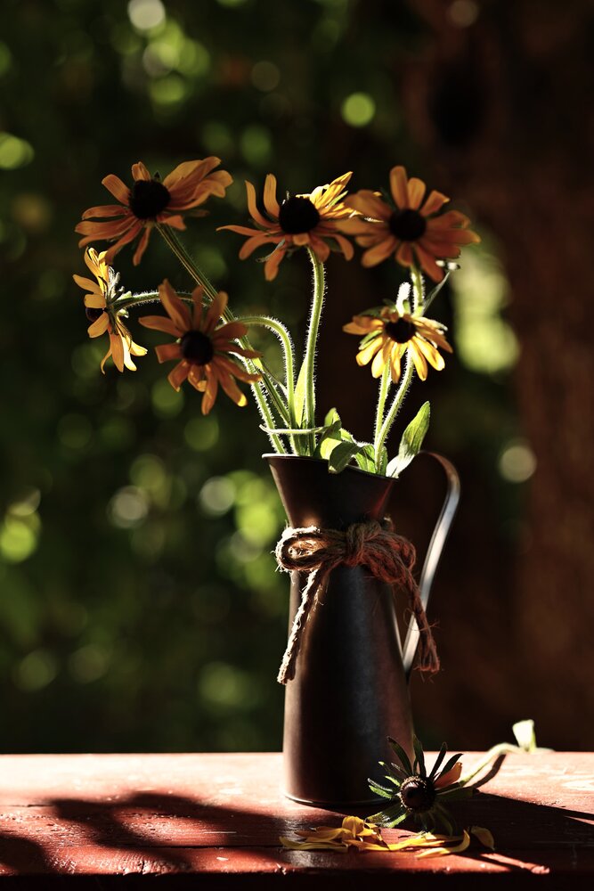 Photograph by Елена Одынец