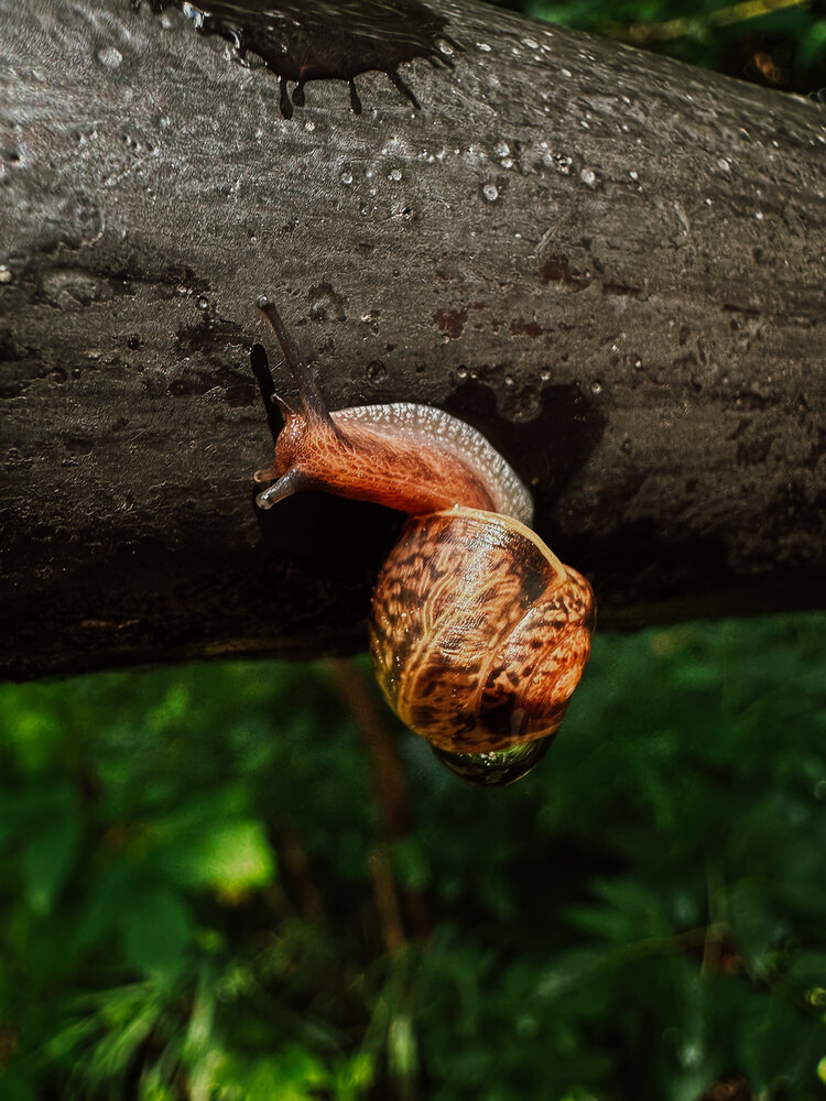 Photograph by Светлана Филатова