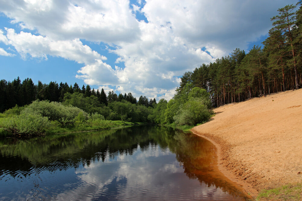 Пляж на реке Луга