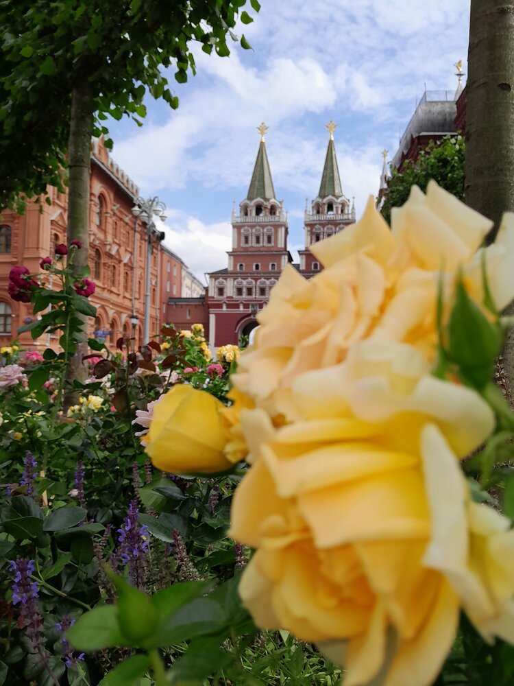 Photograph by Виталий Глазачев