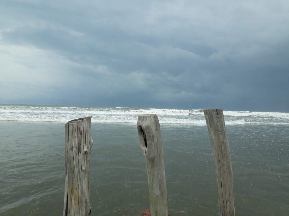 Photograph by Neel Bonna