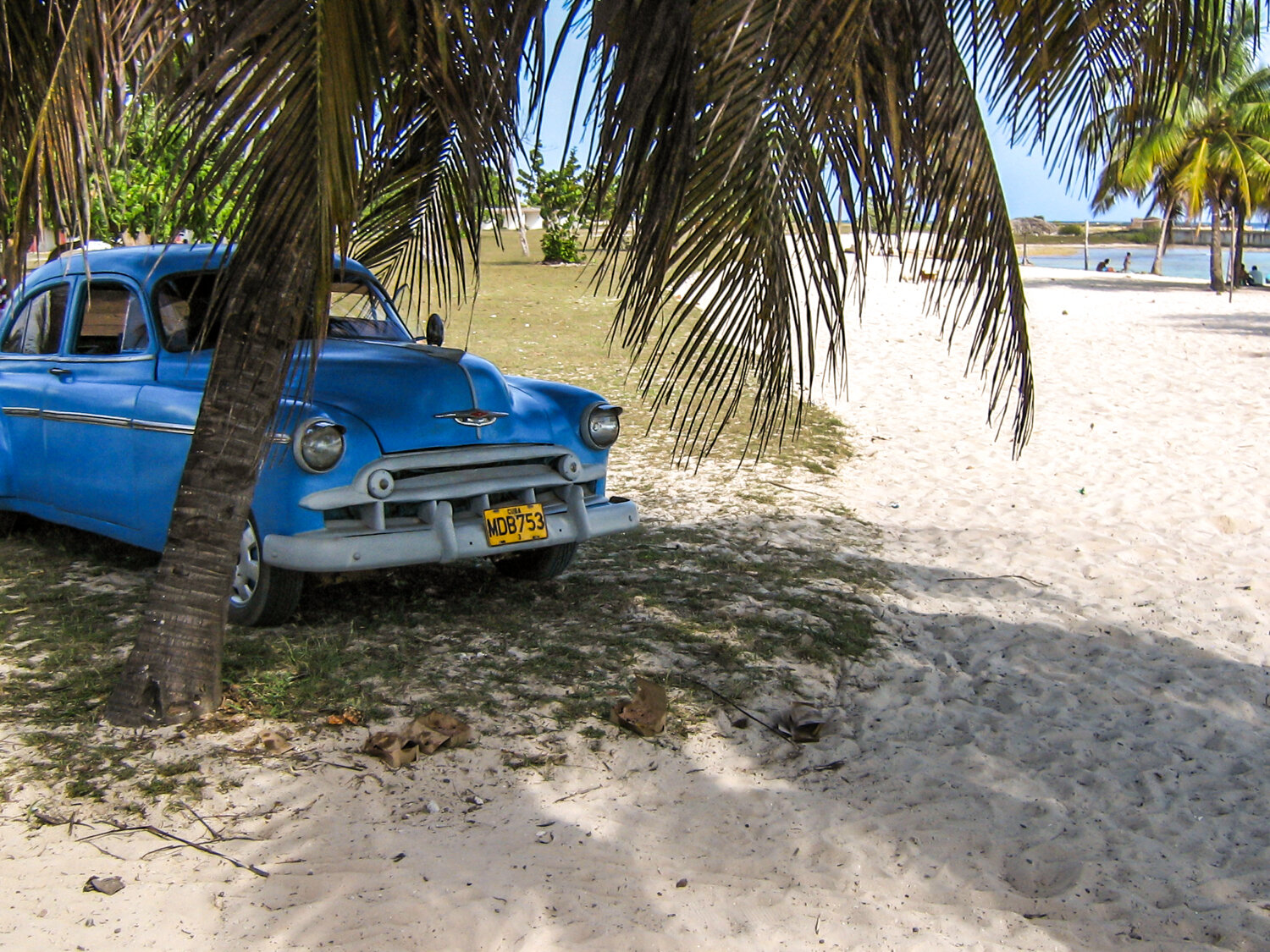 Photo #13827630