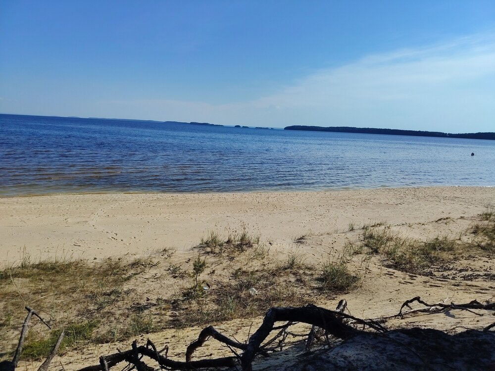 Photo #13827655