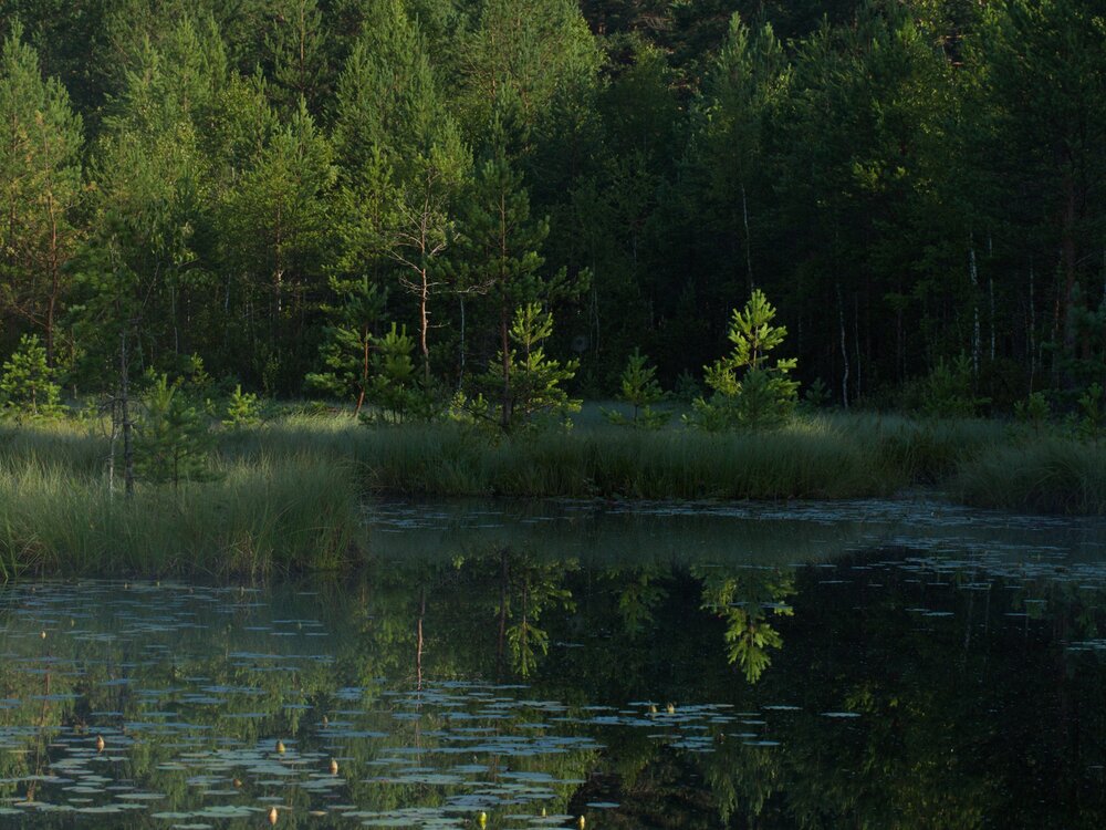 Photograph by Поляков Алексей