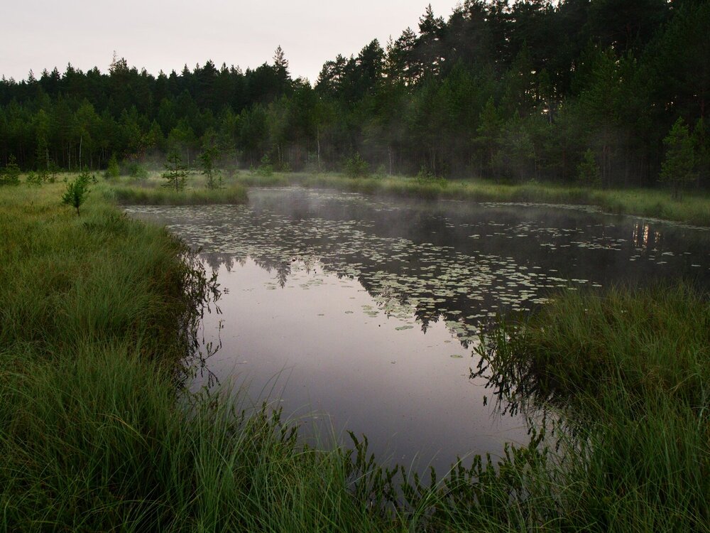 Photograph by Поляков Алексей