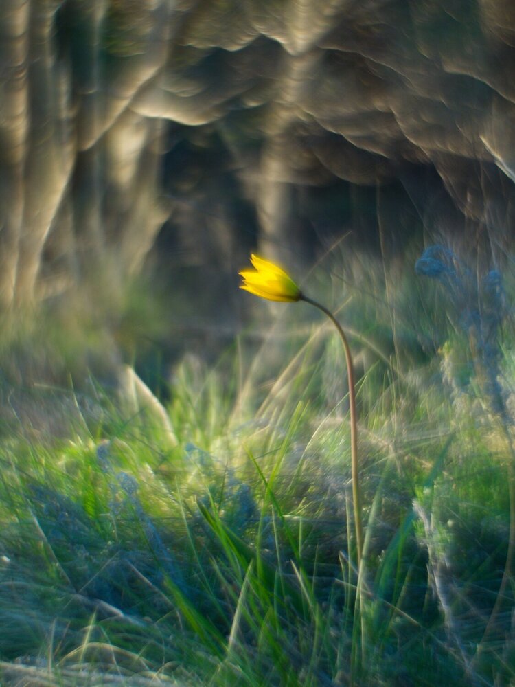 Photograph by Поляков Алексей