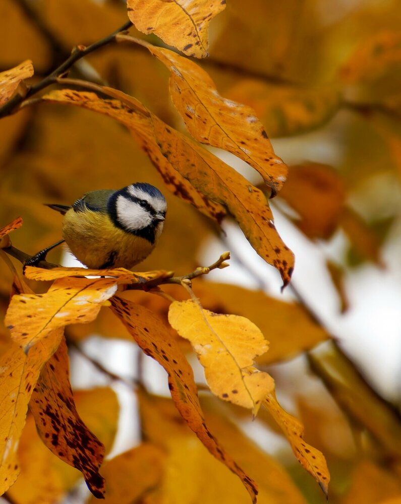 Photograph by Валентина Куренкова