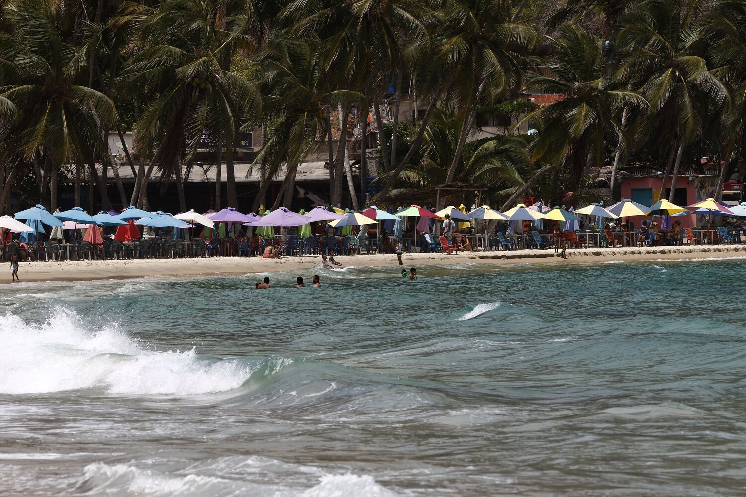Photo #13827803