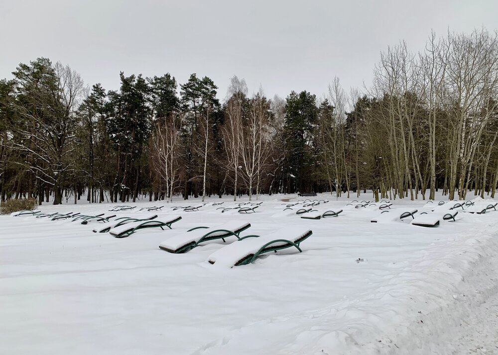 Фотография автора Надежда Смирнова