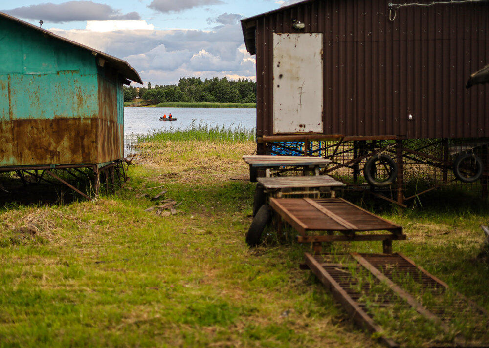 Photograph by Ирина Борисова