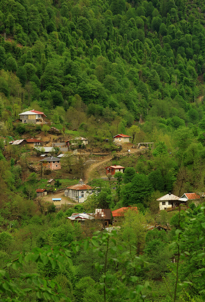 Photograph by Zahra jouri