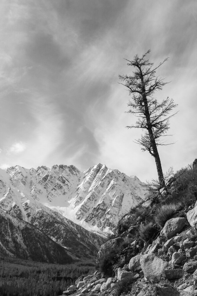 Photograph by Евгения Флиорчук