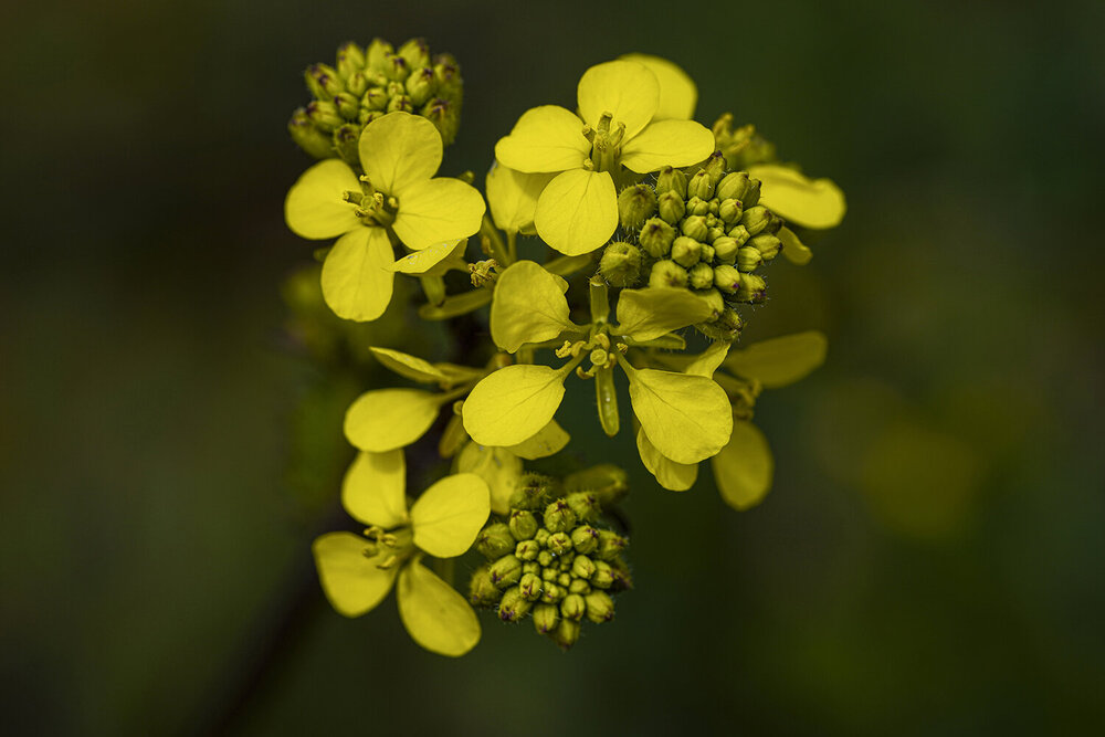Photograph by Ömer Sarıtas