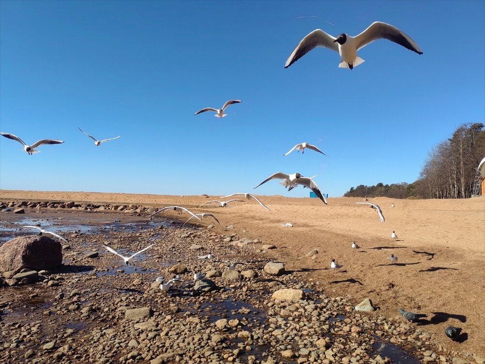 Photograph by Мария Самохвалова