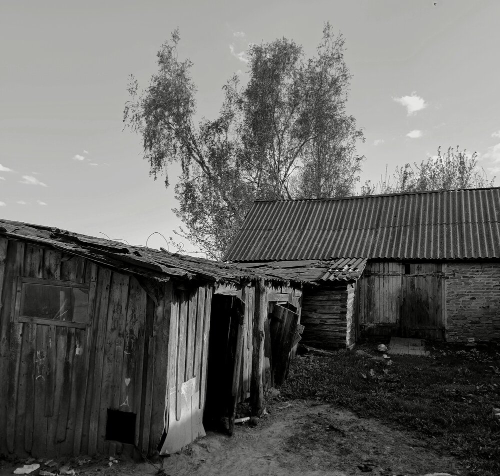 Фотография автора Александр Житник
