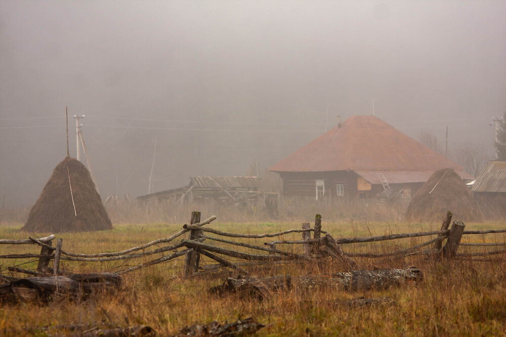 Photograph by Тимофей Черепанов