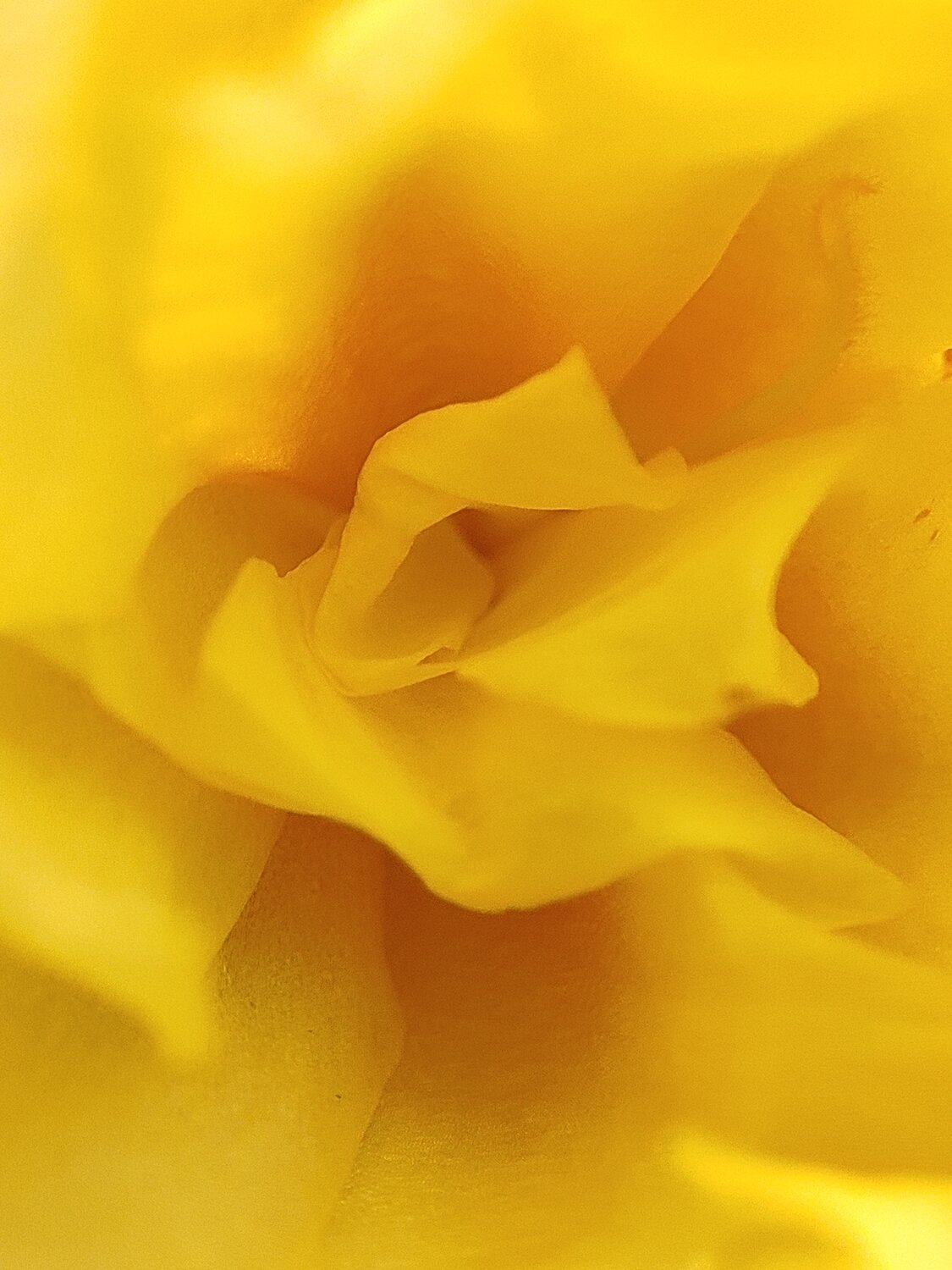 Photo #13828361