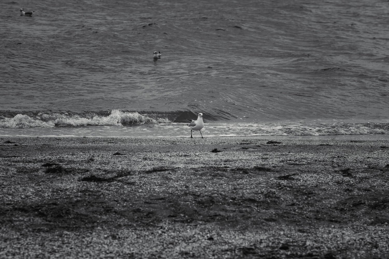 Photo #13828426