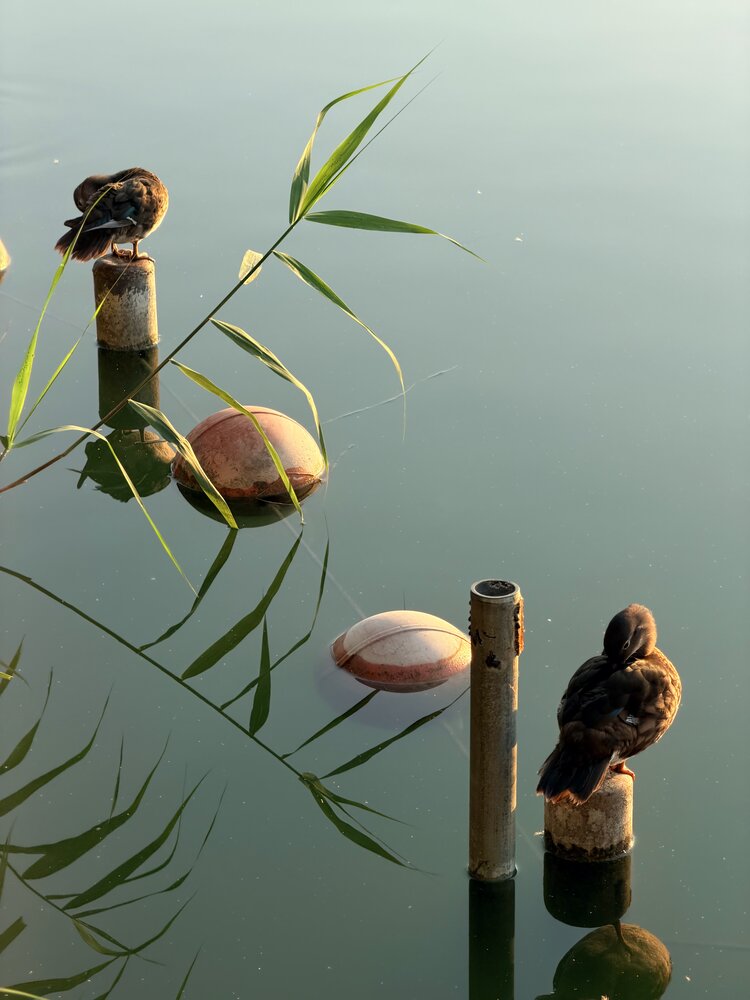 Photograph by Екатерина Горшкова