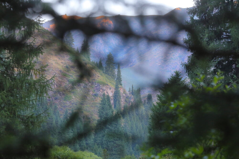 Photograph by Сергей Михайловский
