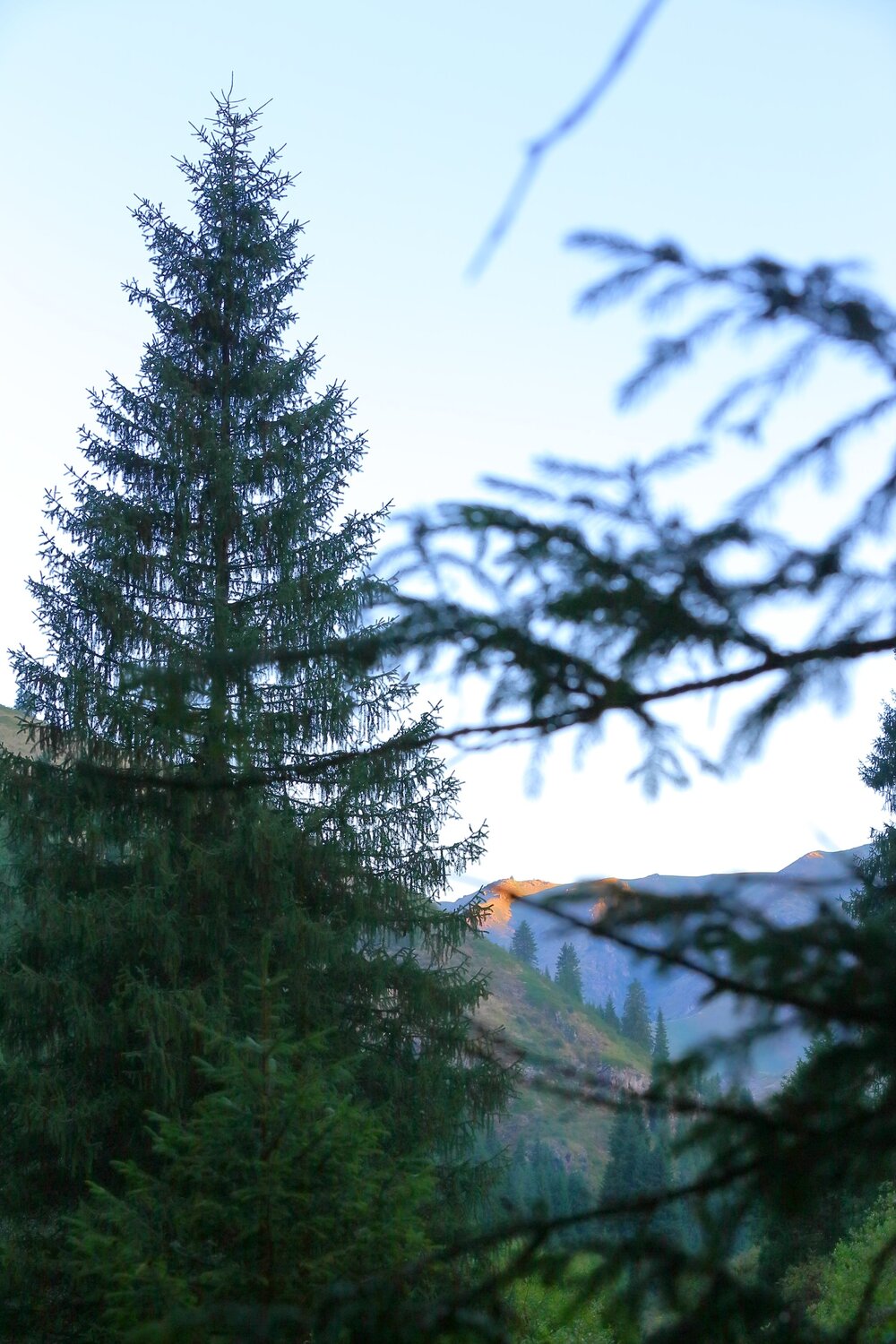 Photo #13828548