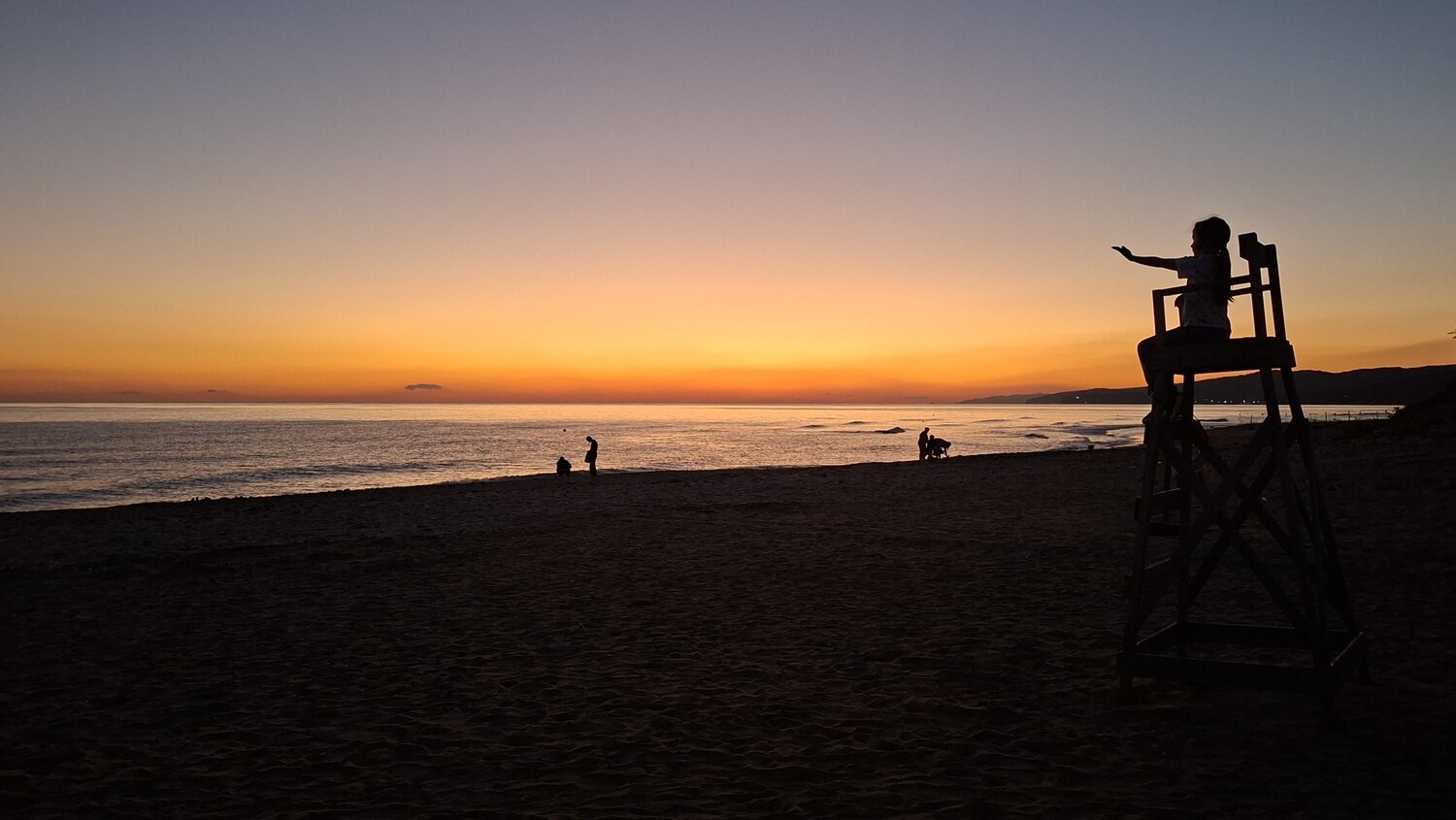 Photo #13828616