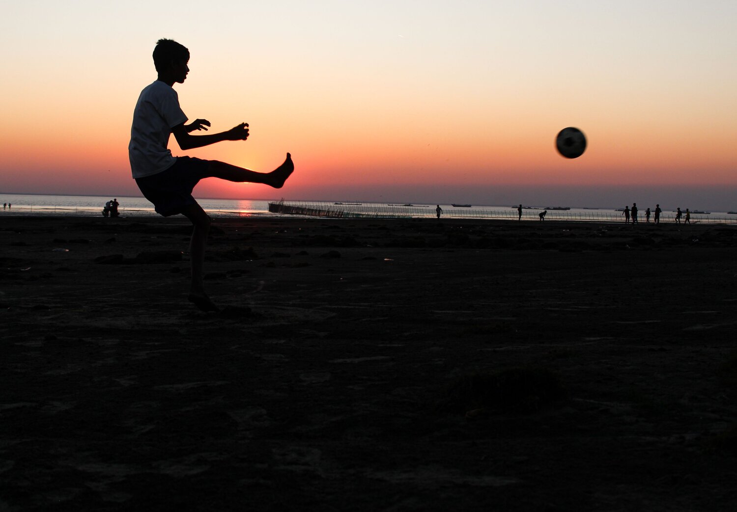 Photo #13828641