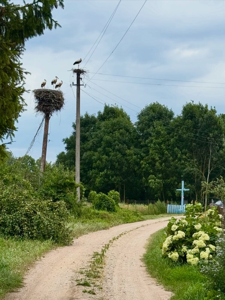 Photograph by Светлана Герасимук