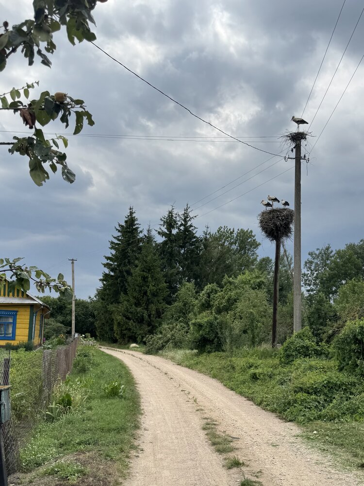 Photograph by Светлана Герасимук