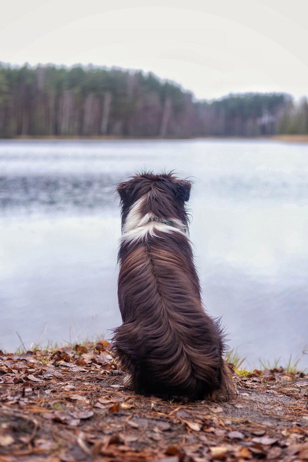Photo #13828703