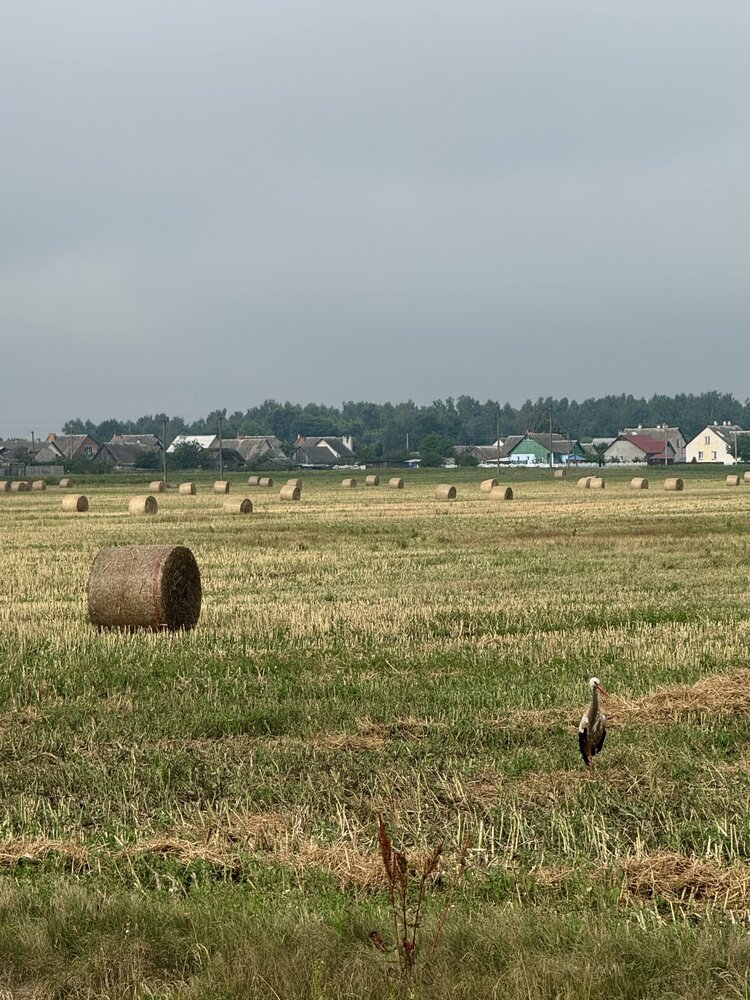 Photograph by Светлана Герасимук