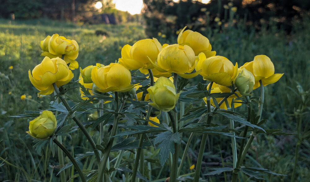 Photograph by Ольга Тимофеева