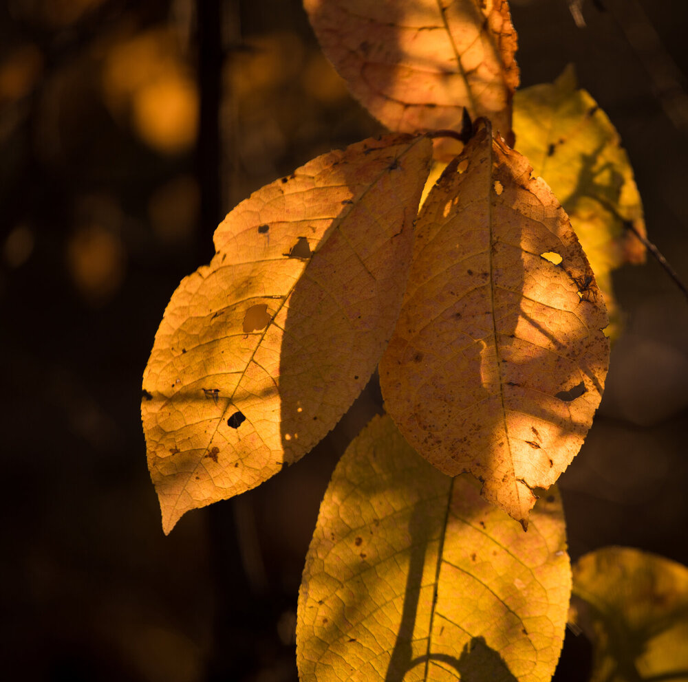 Photograph by Константин Искучеков