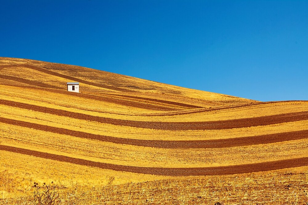 Photograph by محمودرضا نورایی