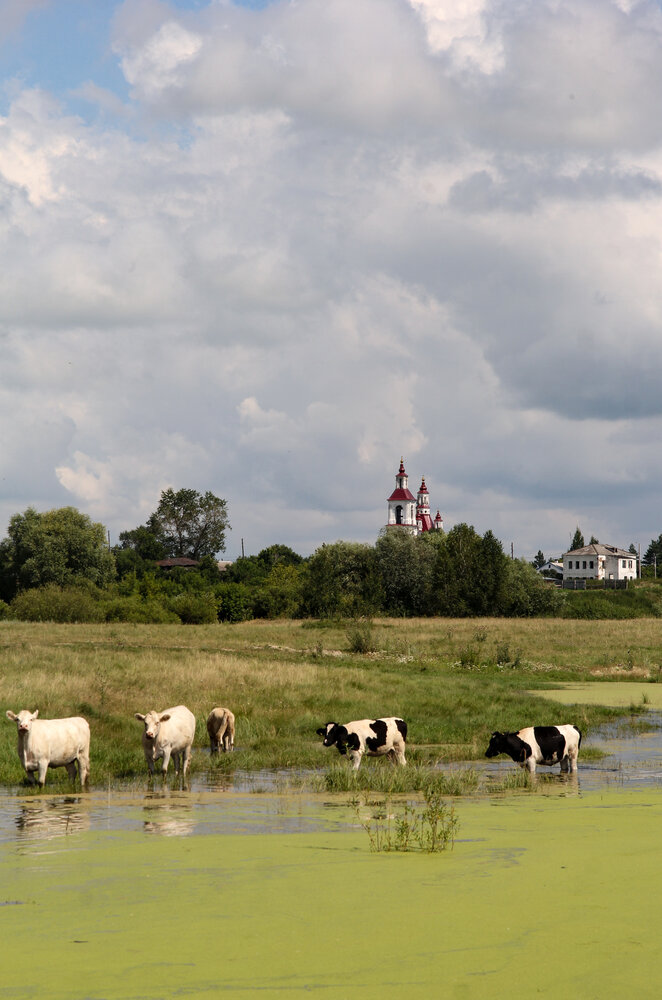 Photograph by Екатерина Брехова
