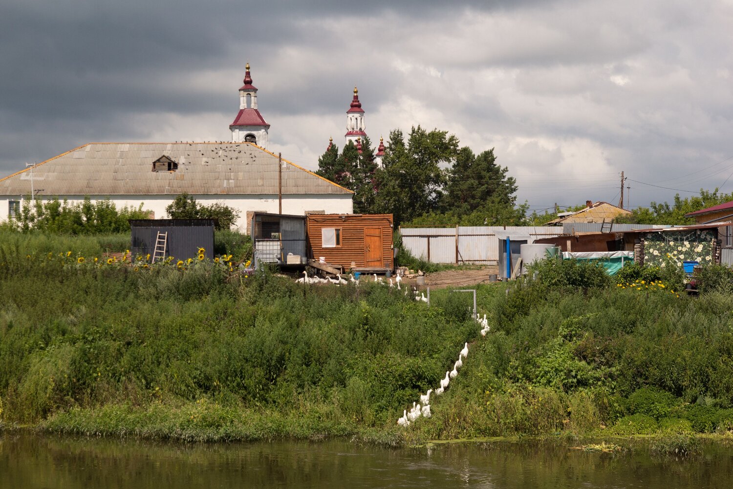 Photo #13829029