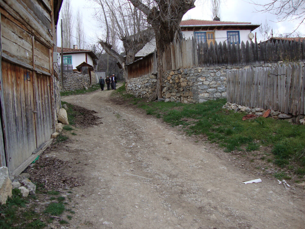 Photograph by Cengiz Yalcin