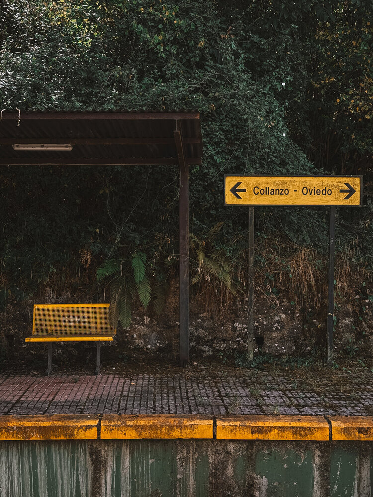 Photograph by Uliana Volegova