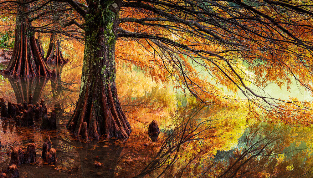 Photograph by Valdir Hobus