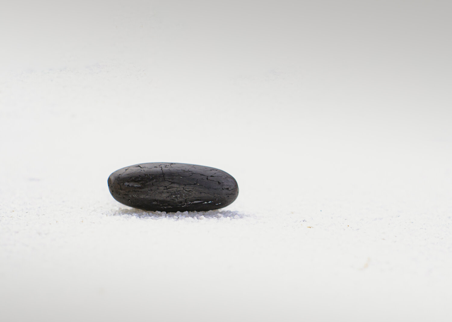 Photo #13829143