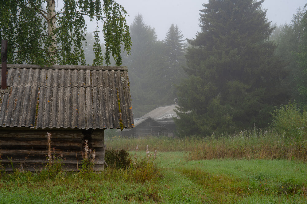Photograph by Евгения Ковригина