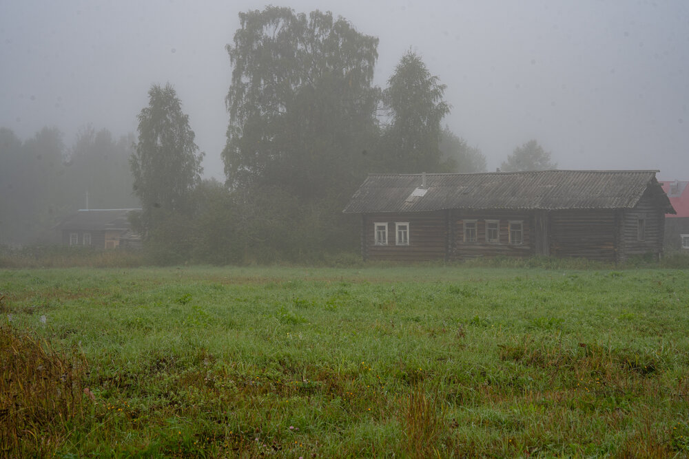 Photograph by Евгения Ковригина