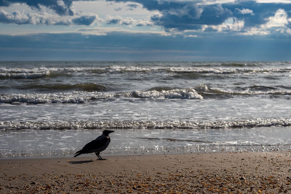 Photograph by Бычков Валерий