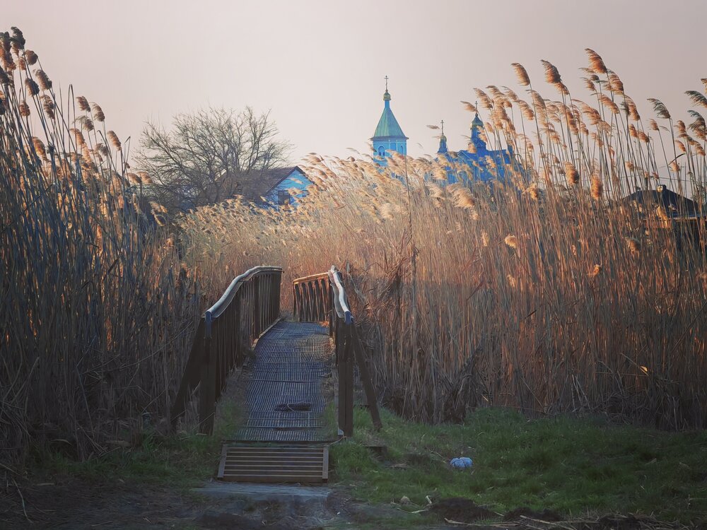 Photograph by OXANA NAUMOVA