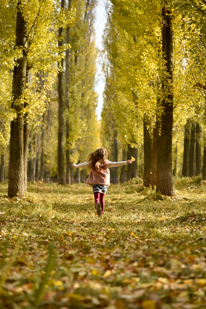 Photograph by Наталья Темная