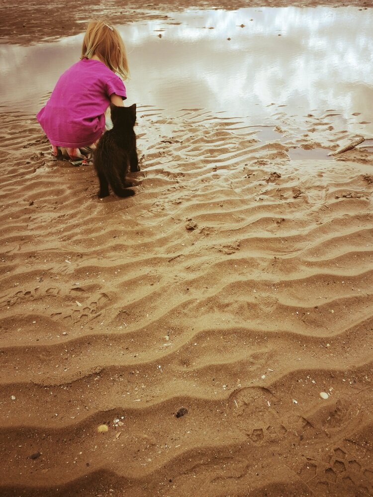 Photograph by Masha Abjanovic