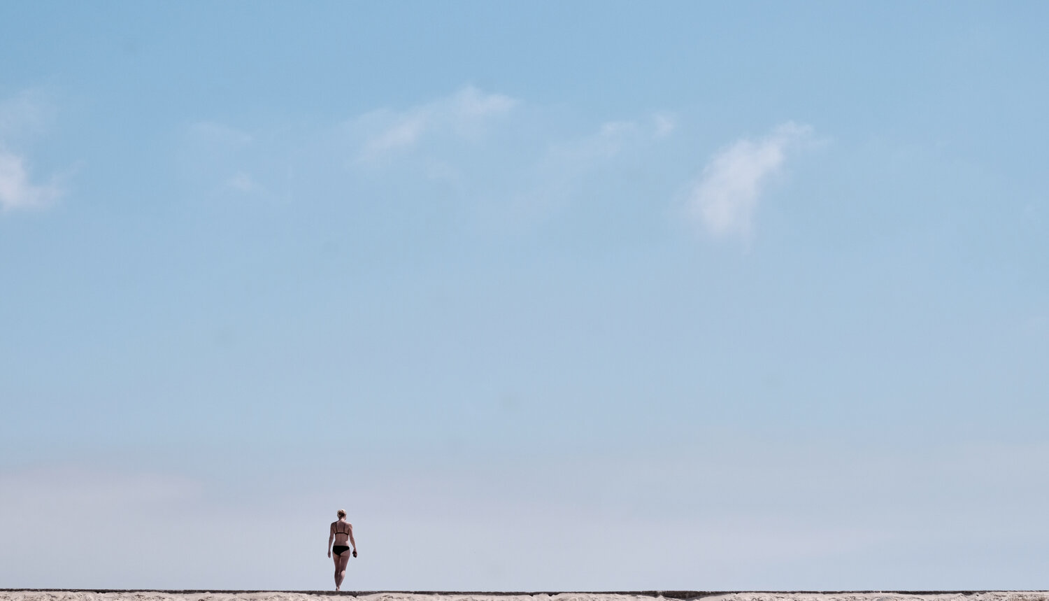 Photo #13829543